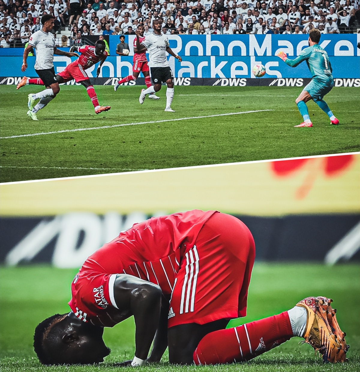 球速体育QIUSU Sports-竞技体育的意义和作用